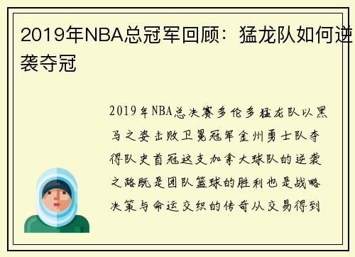 2019年NBA总冠军回顾：猛龙队如何逆袭夺冠